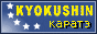 www.kyokushinkarate.chat.ru